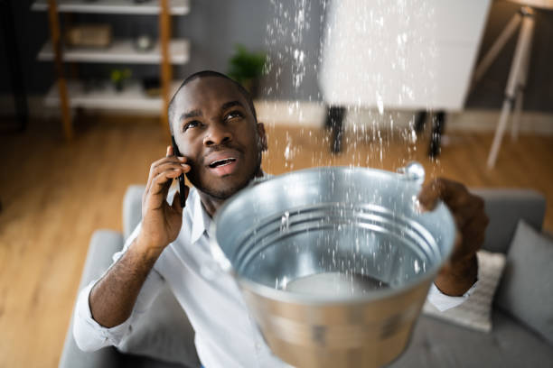Best Local water damage restoration  in Point Baker, FL