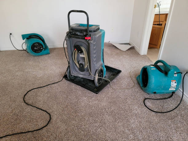 Best 24/7 water damage repair  in Point Baker, FL