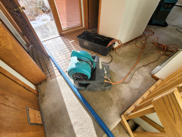 Best Flood damage cleanup  in Point Baker, FL